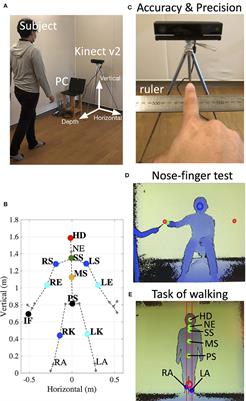 Assessment and Rating of Motor Cerebellar Ataxias With the Kinect v2 Depth Sensor: Extending Our Appraisal